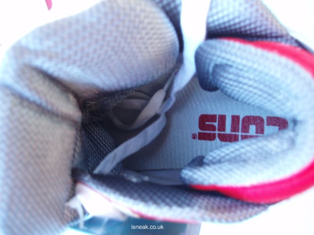 consverse_erx260_09.jpg