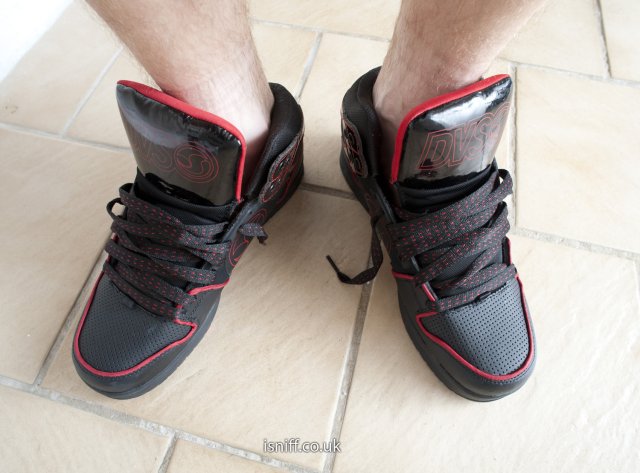 DVS_Aces_High05.jpg