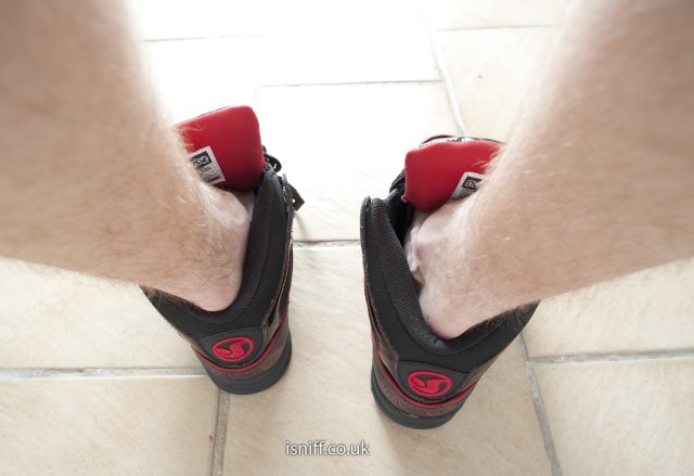 DVS_Aces_High16.jpg