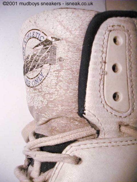 whiteavia01.jpg
