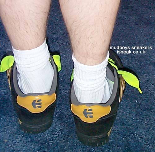 setnies09.jpg