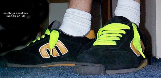 setnies21.jpg