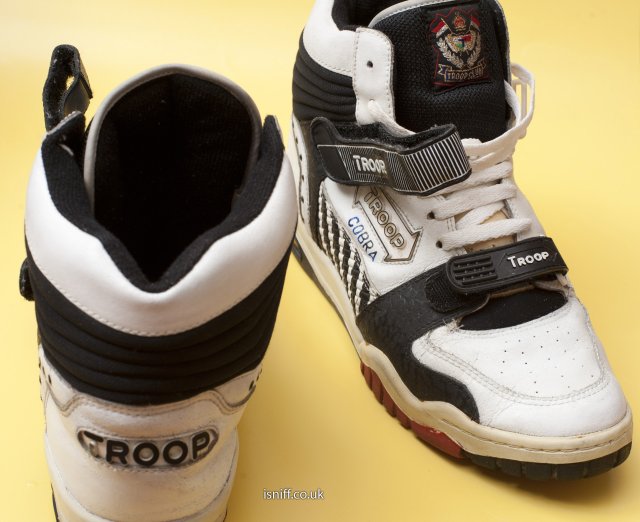 troop_cobra05.jpg