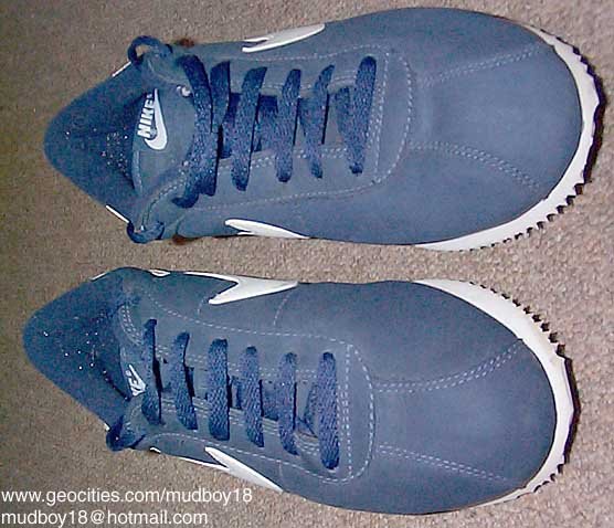 cortez_blue48.jpg