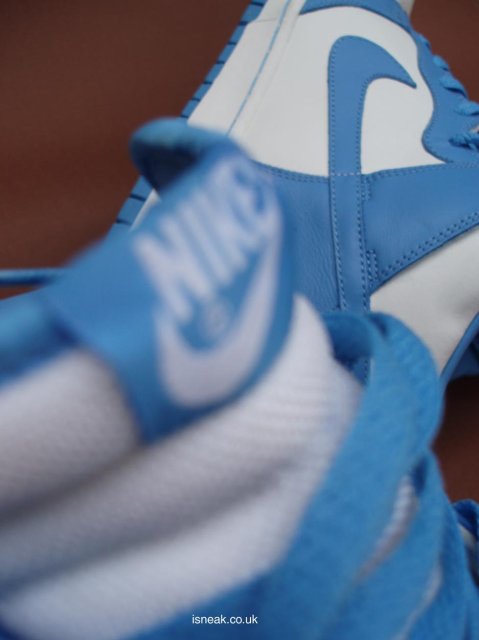 nikedunk37.jpg