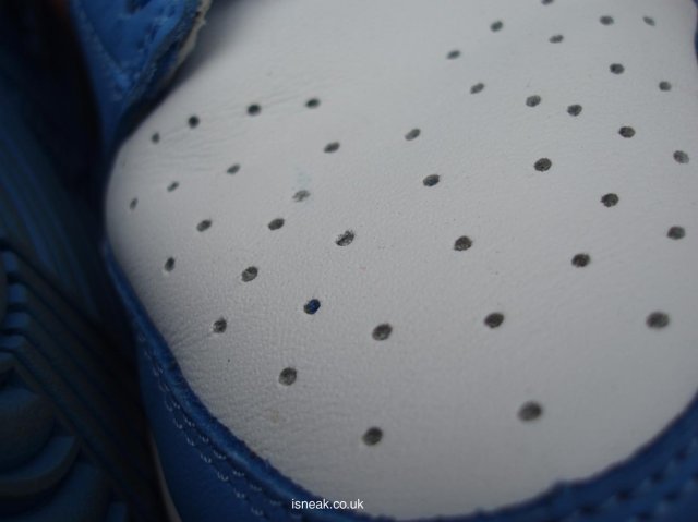 nikedunk87.jpg