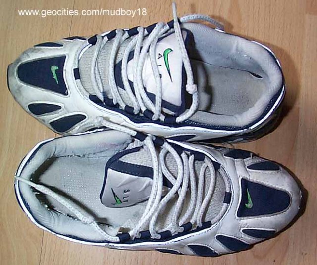 nt1-01.jpg