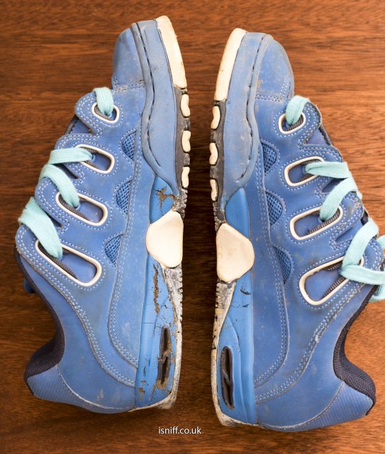 blue_d3_4_8766.jpg