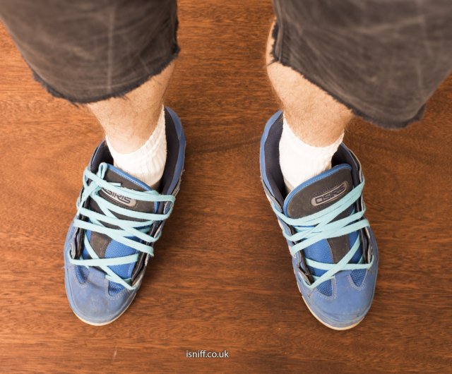 blue_d3_4_8770.jpg