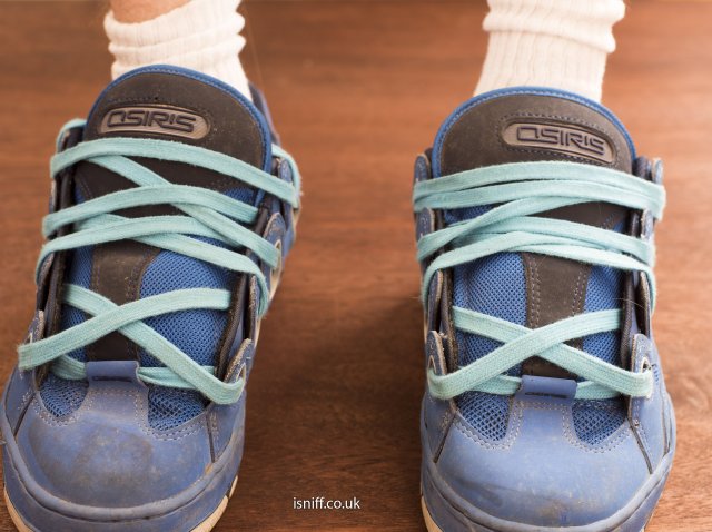 blue_d3_4_8785.jpg