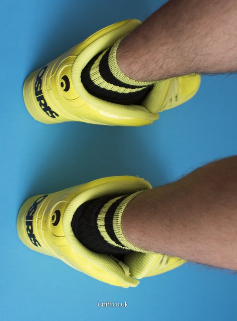 lime_nyc83_9425.jpg