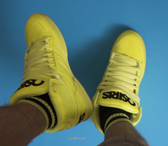 lime_nyc83_9446.jpg