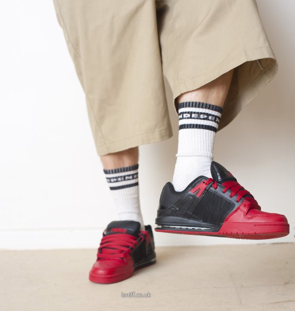 wearing_osiris_pixel_8114.jpg
