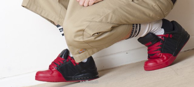 wearing_osiris_pixel_8147.jpg