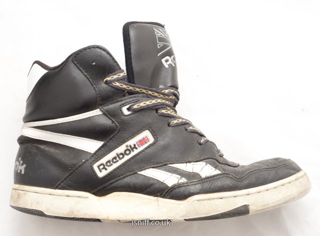 BB4600_hi_II_50.jpg