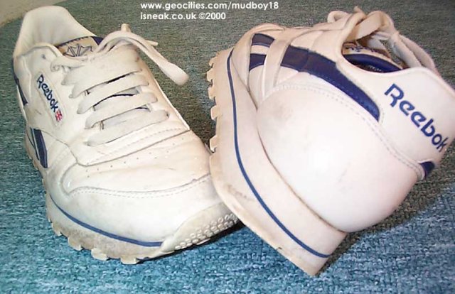 reebok_classic33.jpg