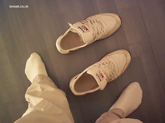 reebok_classic38.jpg