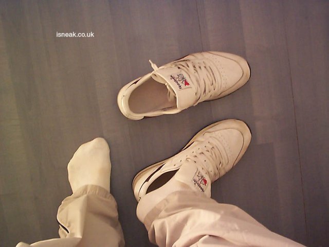 reebok_classic39.jpg