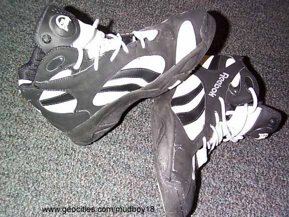 reebok_pump_vertical00.jpg