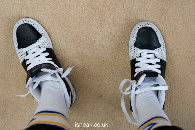 supra_raider_whitedot65.jpg
