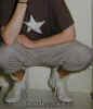 converse_af_high cleats_47.jpg (107155 bytes)