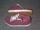 skatestar2.jpg (36834 bytes)
