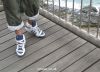 Filename=adidas_attitude_high1948.JPG
Filesize=207KB
Dimensions=1000x721
Date added=May 18, 2009 adidas_attitude_high1948.JPG