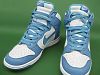 nikedunk2102775.jpg