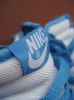 nikedunk29.jpg