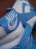 nikedunk33.jpg