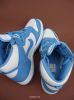 nikedunk66.jpg