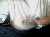 DSC00776.JPG