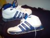 Filename=adidas.JPG
Filesize=680KB
Dimensions=2048x1536
Date added=Jul 14, 2007 adidas.JPG